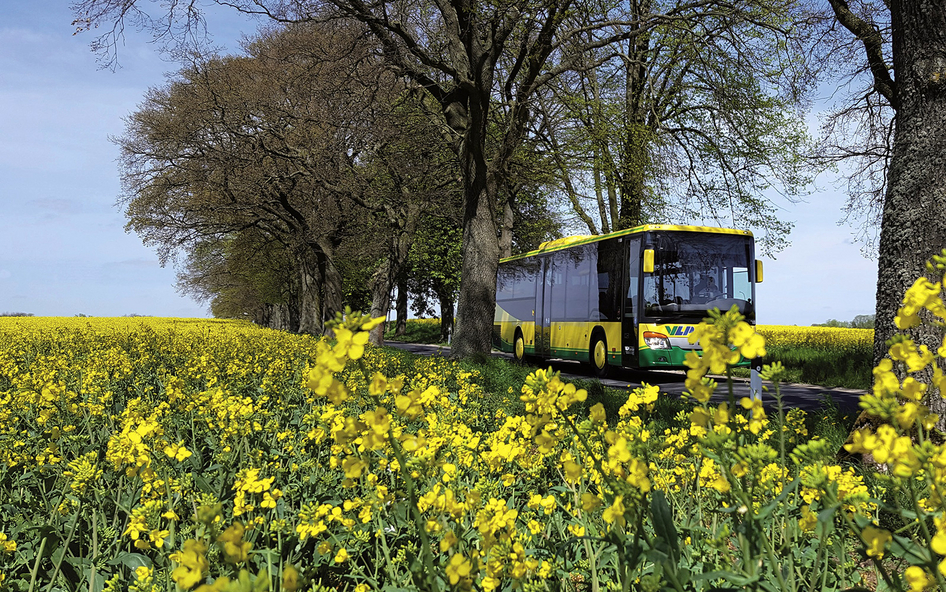 IVU fournit un système de gestion de dépôt intégré à VLP Hagenow Ein gelber VLP Bus fährt auf einer Straße zwischen gelben Rapsfeldern