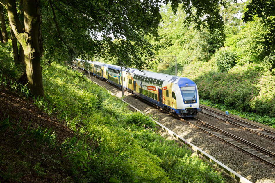Un ferrocarril NETINERA azul y blanco atraviesa un bosque.