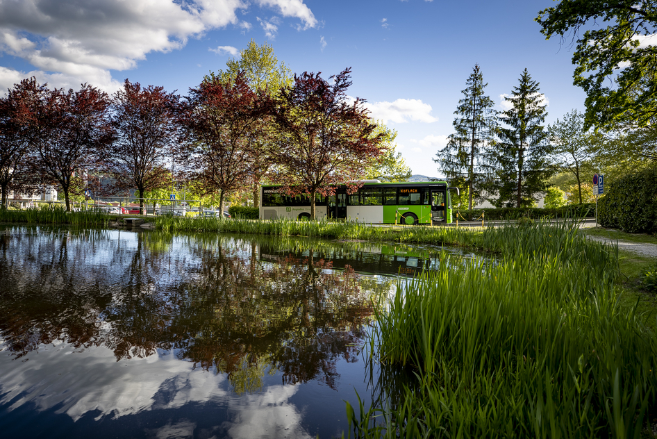 Un bus blanc et vert roule au bord d'un lac bordé d'arbres aux couleurs automnales.