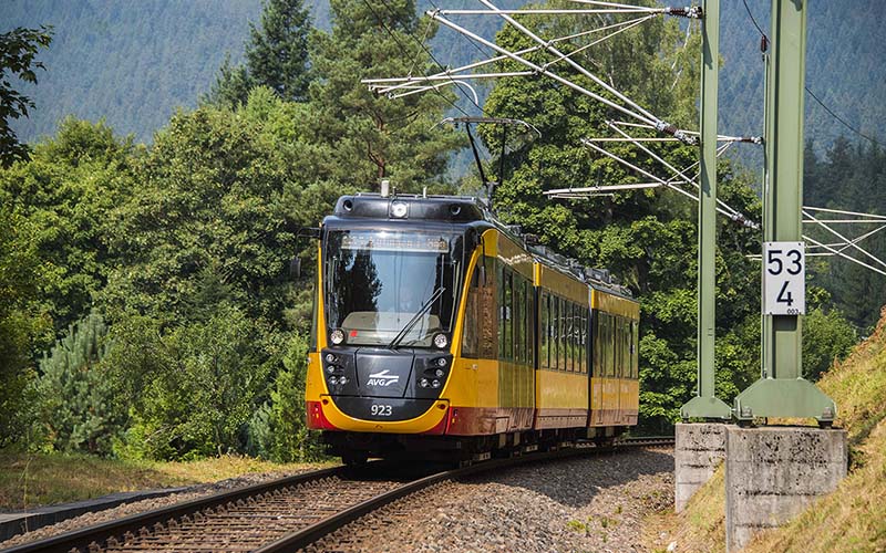 Ein fahrender Zug der AVG von vorne in einer bewaldeten Landschaft